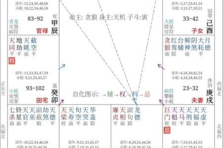 紫薇斗数专属命盘