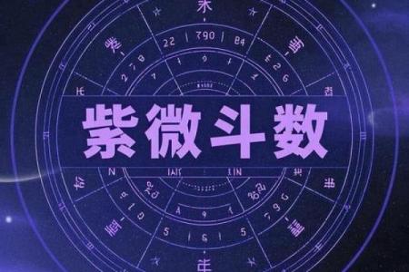 紫薇斗数太阴迁移