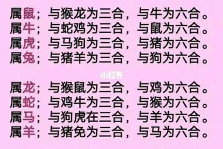 九四年属什么生肖婚配 九四年属什么生肖配对