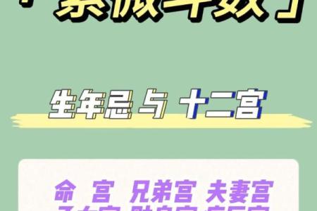 紫薇斗数看事业起色