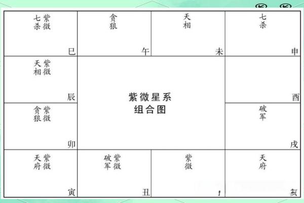 紫薇斗数紫薇星+财锦