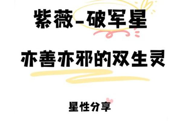 紫薇星破军星入田宅宫