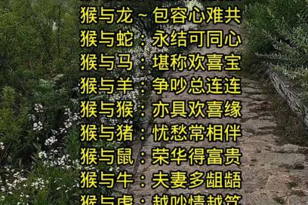 免费名字配对姻缘关系 名字姻缘配对超准 免费？