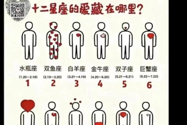 测自己真正的星座