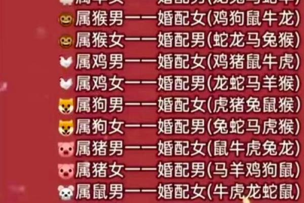 十二肖和十二生肖配对,十二生肖最佳婚配表是怎样的？