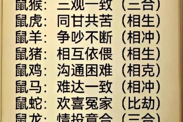 十二肖和十二生肖配对,十二生肖最佳婚配表是怎样的？