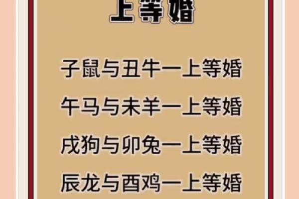 感情如胶似漆 难舍难分夫妻恩爱的生肖配对