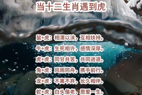 生肖配对-虎和龙的性格特点和最佳组合