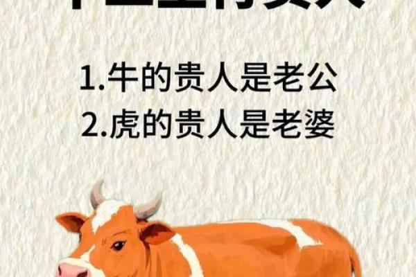 属虎和属牛的配对可行吗