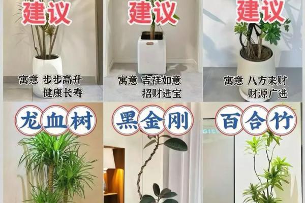 客厅风水，犯禁忌可能越住越穷