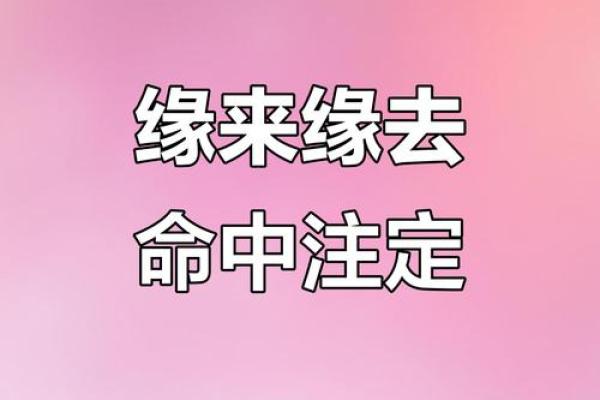 缘分是天注定姓名配对 缘份真的是天注定的-？