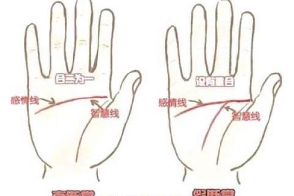 男人断掌手纹算命图解