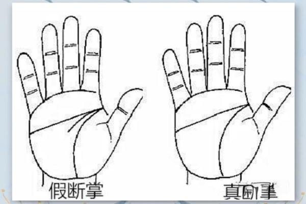 男人断掌手纹算命图解
