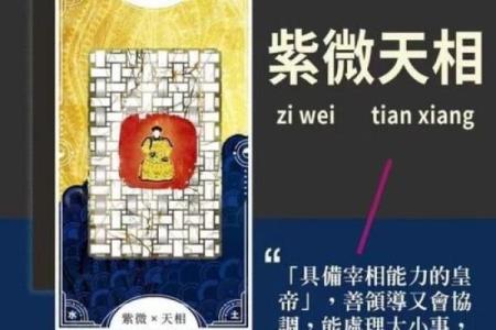 紫薇斗数木葡之人