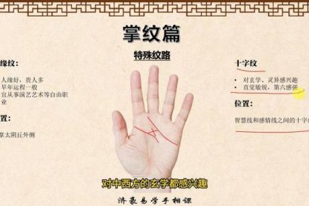 《手相学习百科》：掌脊纹