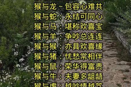 免费名字配对姻缘关系 名字姻缘配对超准 免费？