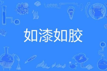 感情如胶似漆 难舍难分夫妻恩爱的生肖配对