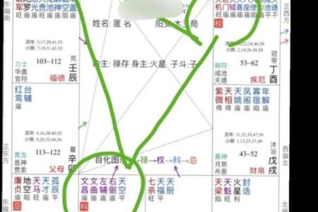 灵动紫薇斗数排盘