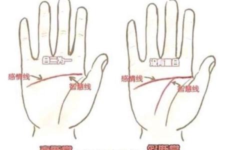 男人断掌手纹算命图解