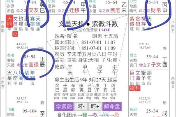 黄老师紫薇斗数