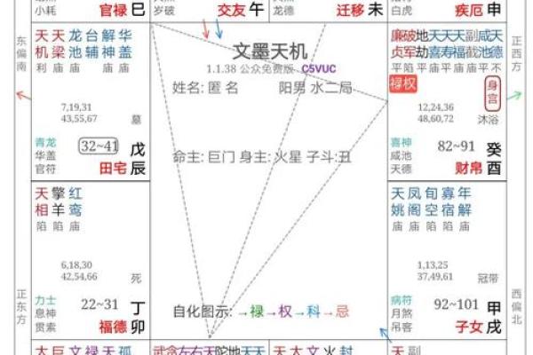 紫薇斗数大限武曲