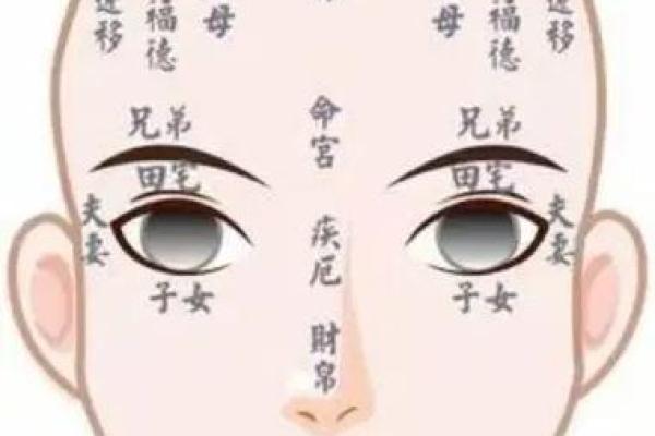 会紫薇斗数的人