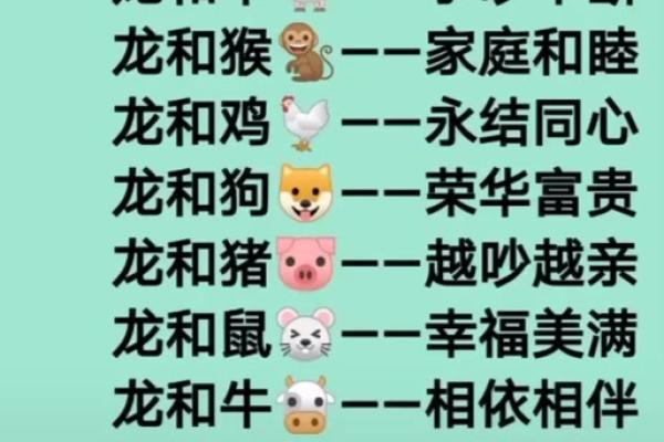 属龙的跟属龙的结婚属上等婚吗 配对要注意什么