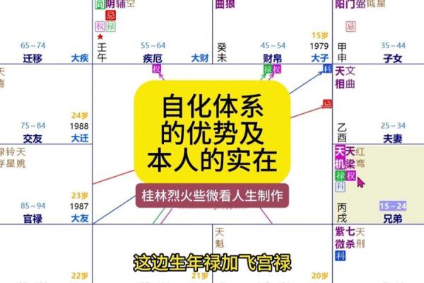 包含紫薇斗数精华论坛的词条