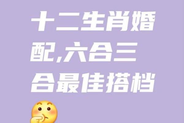 生肖鼠冬月适合领证吗 农历11月登记结婚吉日