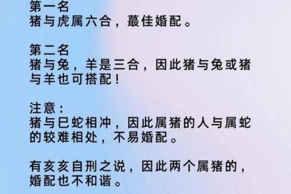 95男猪96女鼠相配吗 95年出生的男性和96年出生的女性是否适合成为配对