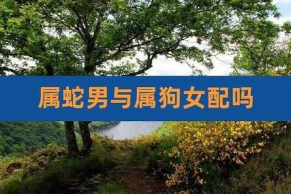 属蛇人配对姻缘