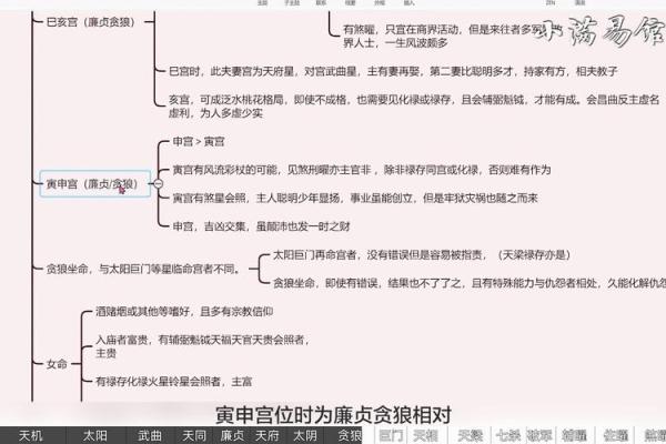 紫薇斗数实战视频
