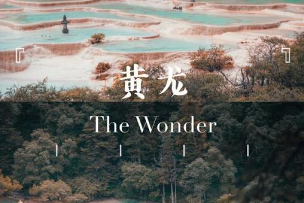 姓名配对黄龙 姓名配对黄龙什么意思？