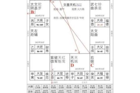 紫薇豆斗数软件