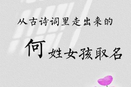 何姓女孩名字大全-何姓女孩起名字大全-何姓名字大全姓名