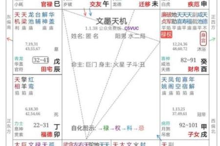 紫薇斗数大限武曲