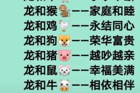 属龙的跟属龙的结婚属上等婚吗 配对要注意什么