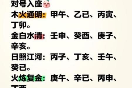 八字巳巳亥