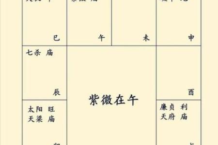 包含紫薇斗数精华论坛的词条