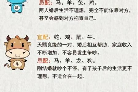 1986年属什么生肖 1986年属什么生肖配对最好