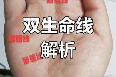 《手相学习百科》：生命线