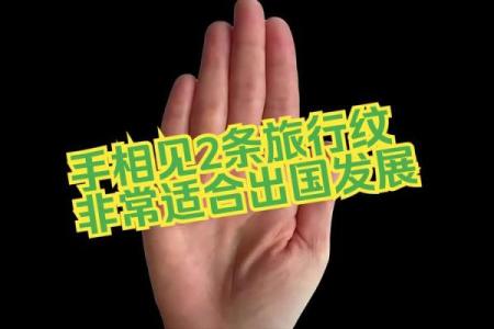 《手相学习百科》：手纹看旅游和迁徙