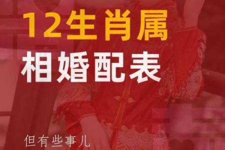 属蛇人配对姻缘