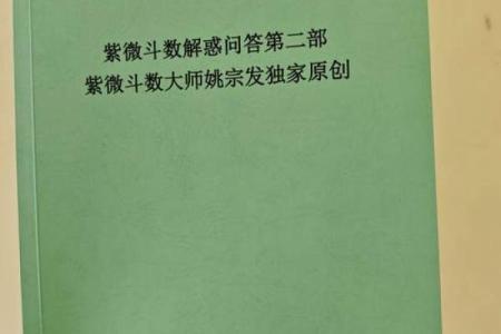 紫薇斗数实战视频