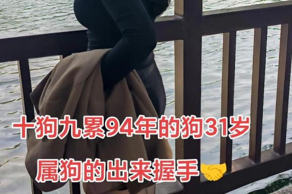 94年属狗和97年属牛八字合吗