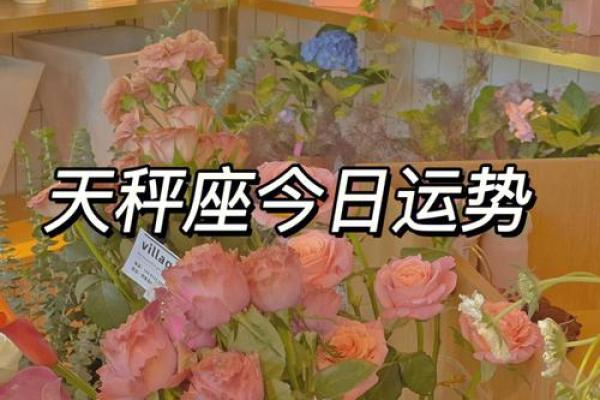 天秤座2024年下半年运势  天秤座今日运势紫微黄历