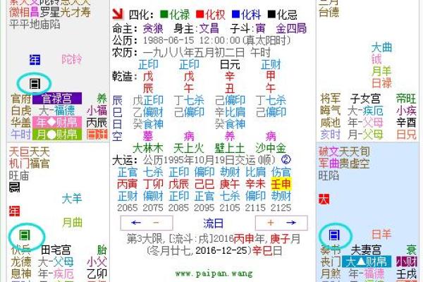 古占和紫薇斗数哪个看的准