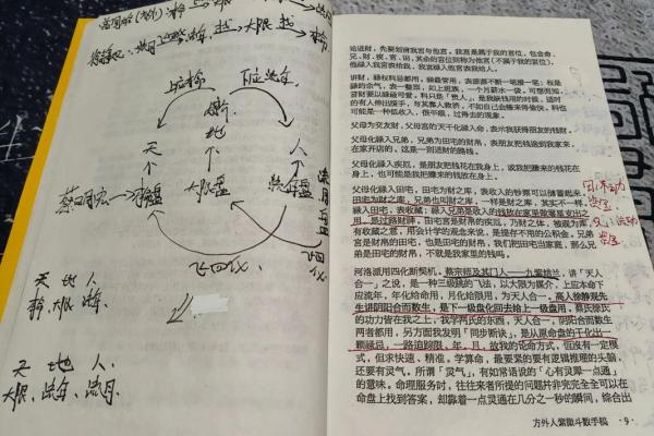 许铨仁紫薇斗数高级班笔记