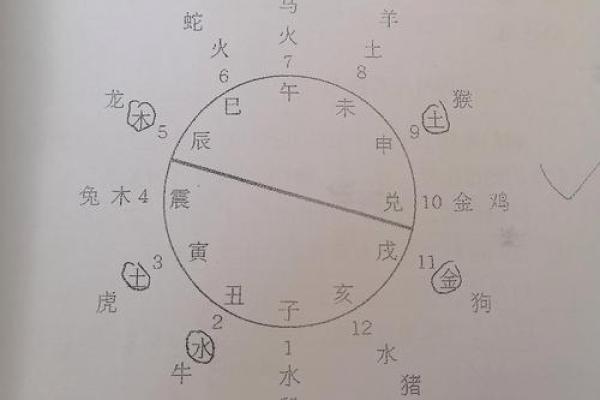 车牌号的风水讲究你知道吗？