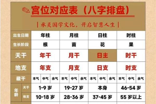 以残生生肖为中心，了解八字排盘的秘密